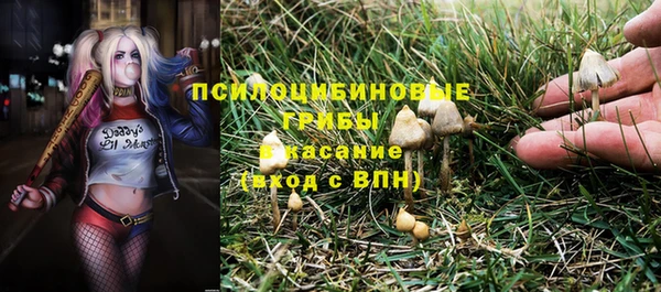 круглые Алзамай