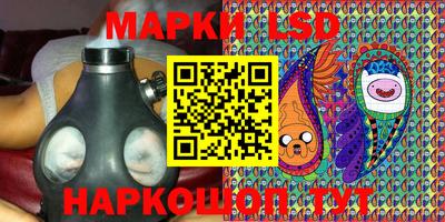 индика Можга