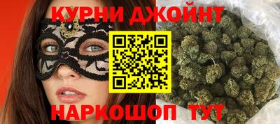 индика Можга
