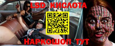 индика Можга