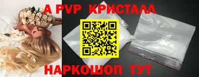 индика Можга