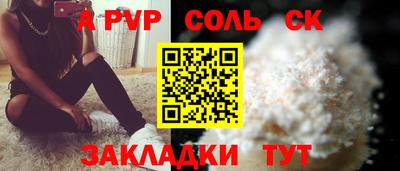 индика Можга