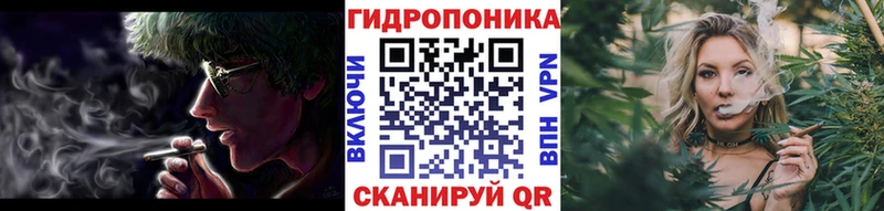 Бошки марихуана ГИДРОПОН нарко площадка клад Заинск